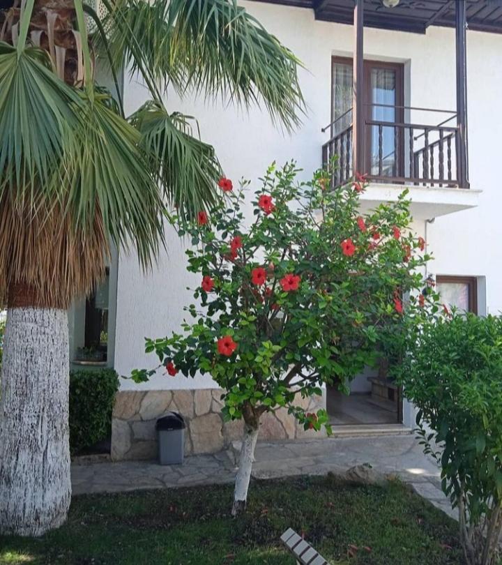 Nehir Dalyan Boutique Otel Ortaca  Εξωτερικό φωτογραφία