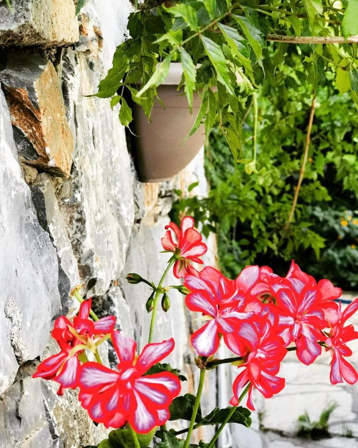 Nehir Dalyan Boutique Otel Ortaca  Εξωτερικό φωτογραφία